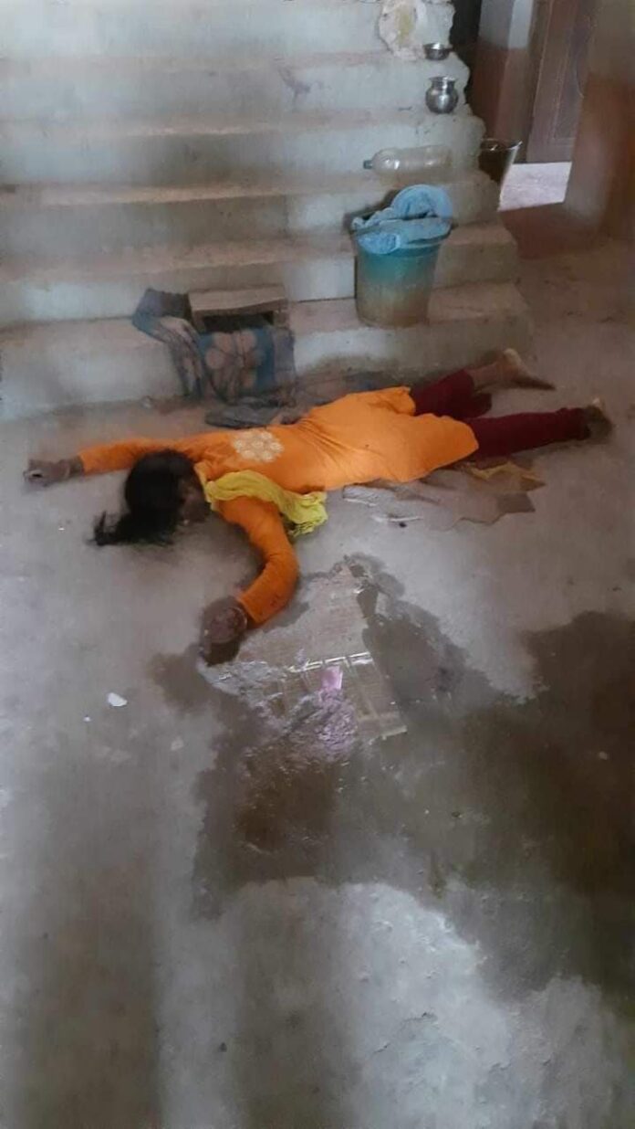 FB_IMG_1688223715543